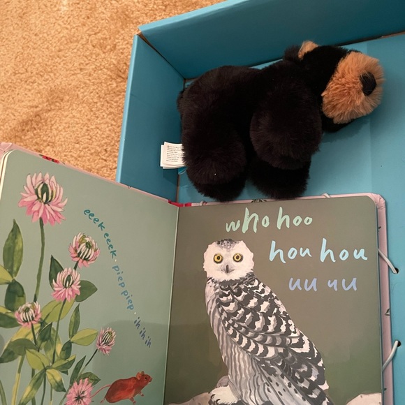 Animal Sounds Board Book + Mini Bear Plush Toy - Picture 6 of 12